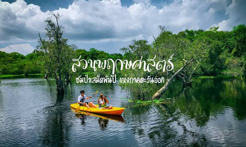 สวนพฤกษศาสตร์